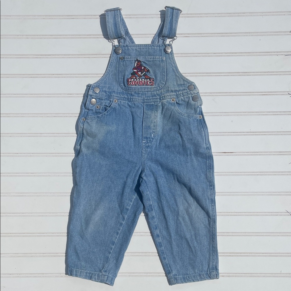 VINTAGE 90s NHL PHOENIX COYOTES HOCKEY Embroidered Overalls